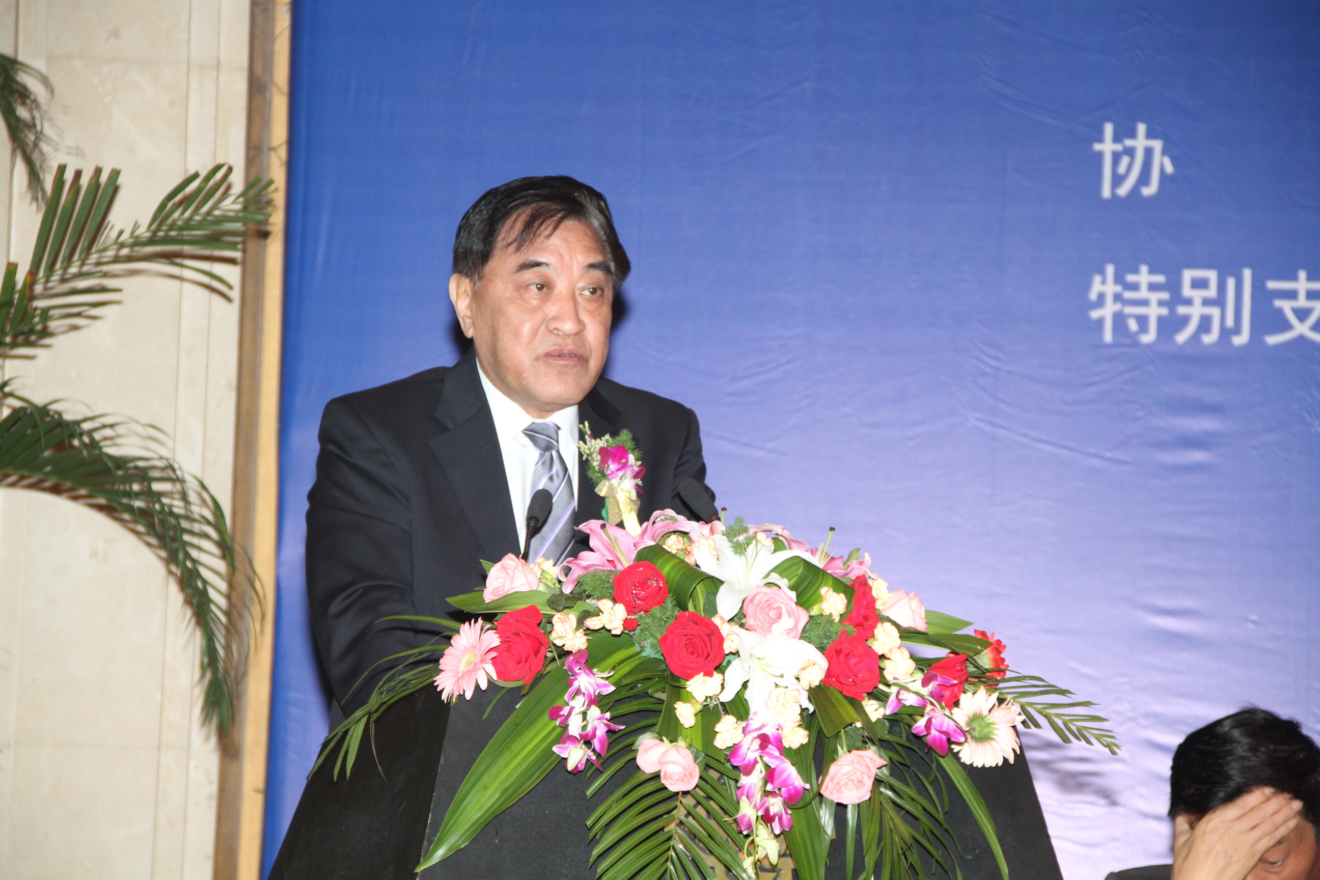 王天凯：第七届中国国际棉纺织会议开幕词